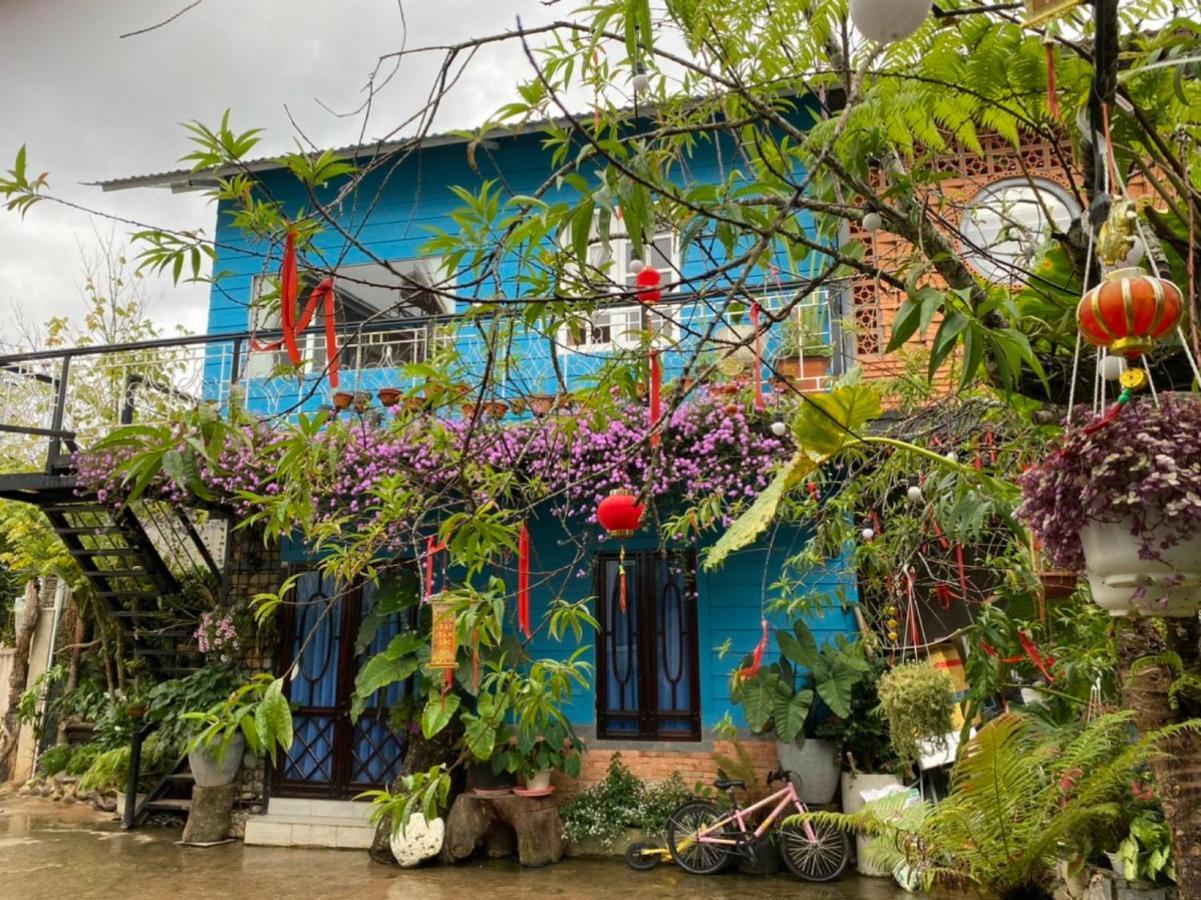 Mhome دالات المظهر الخارجي الصورة