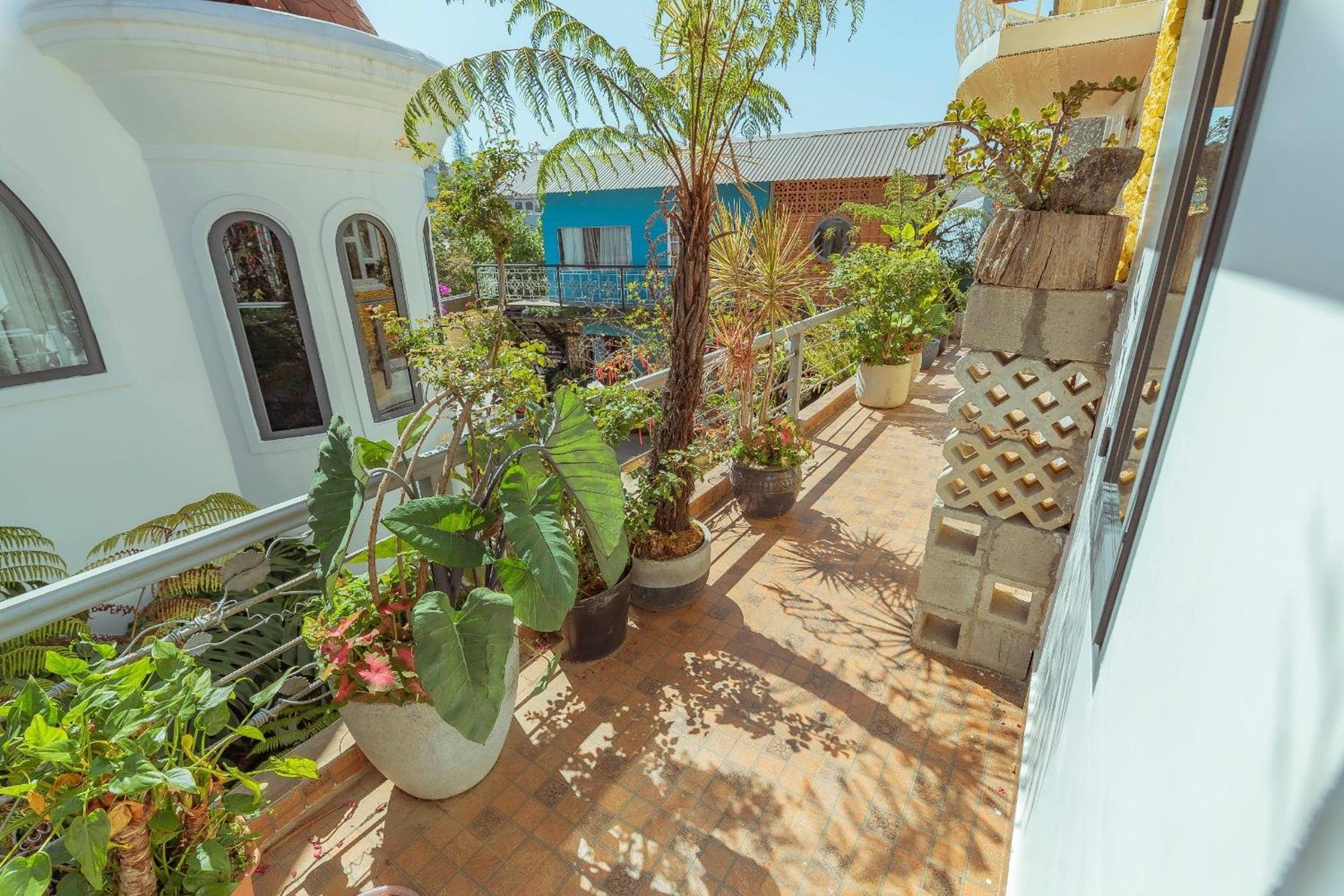 Mhome دالات المظهر الخارجي الصورة