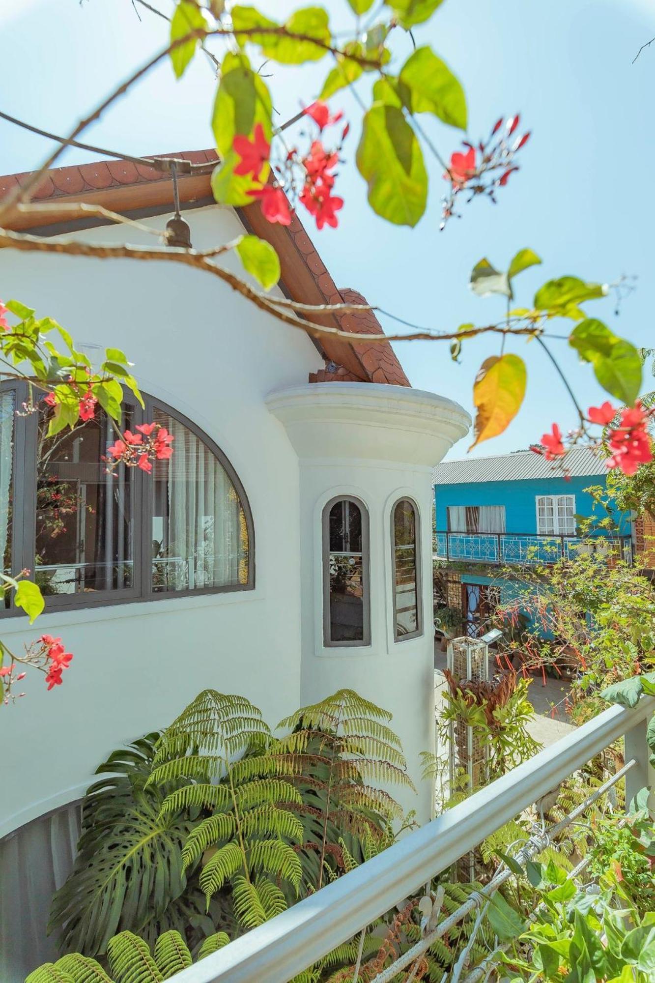 Mhome دالات المظهر الخارجي الصورة