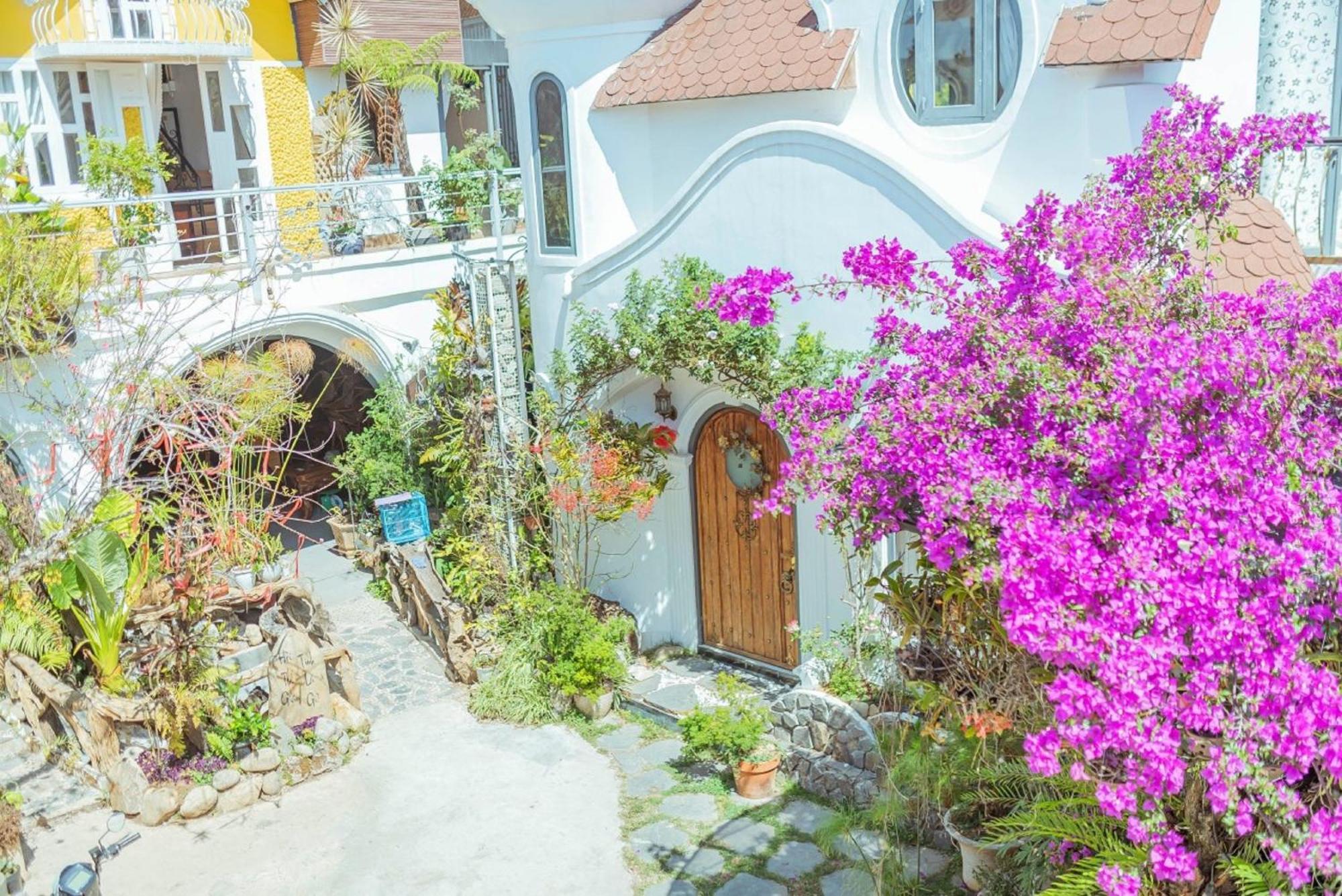 Mhome دالات المظهر الخارجي الصورة